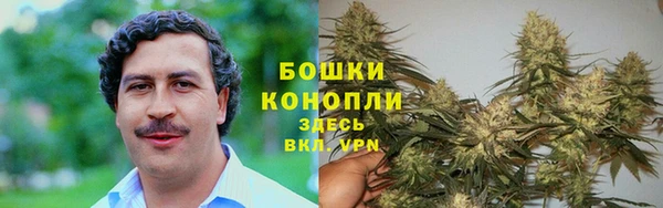 дживик Валдай