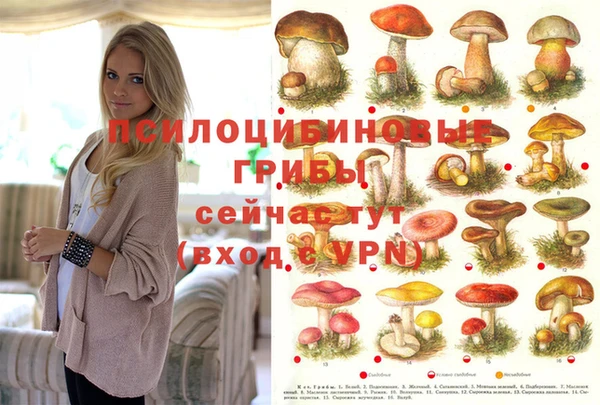 герыч Нязепетровск