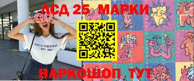 крисы Бийск