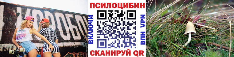 Галлюциногенные грибы прущие грибы  продажа наркотиков  Новомосковск 