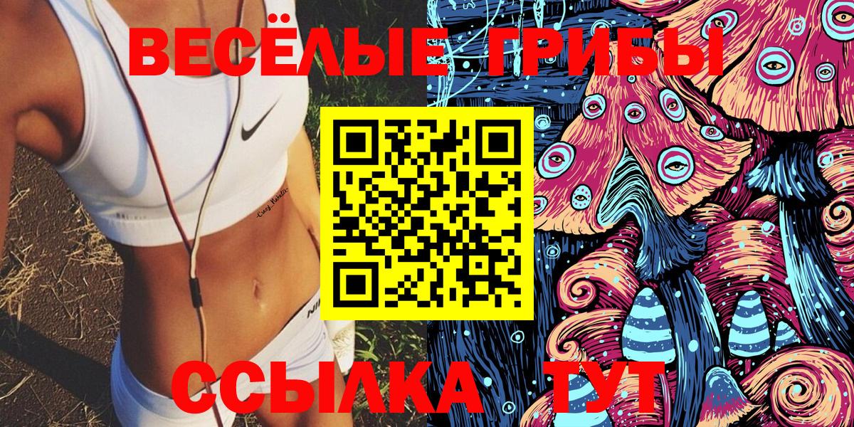 Псилоцибиновые грибы мухоморы  Псилоцибиновые грибы GOLDEN TEACHER  Новомосковск 