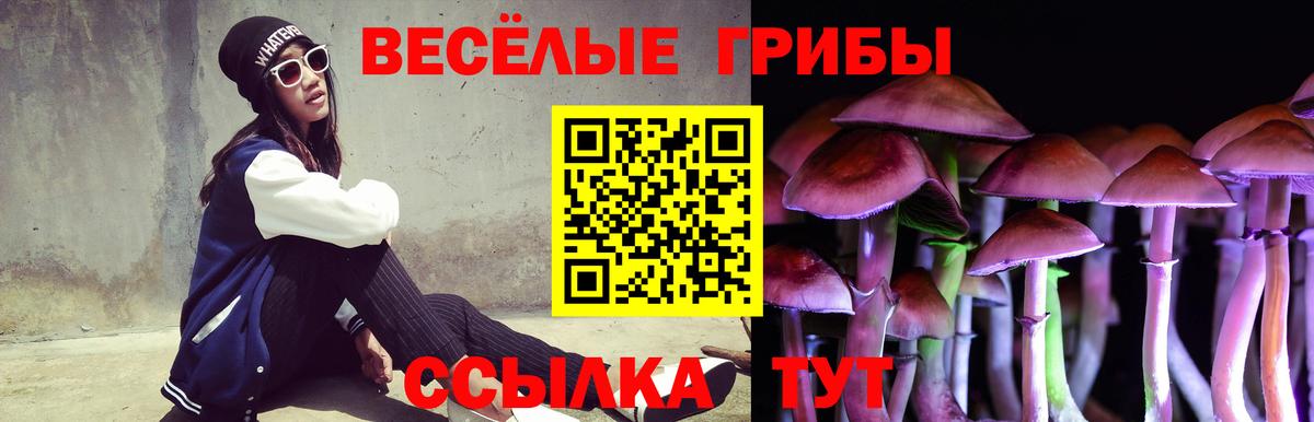 Галлюциногенные грибы Psilocybine cubensis Новомосковск