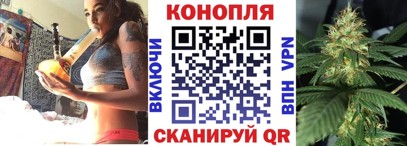 Бошки Шишки сатива  Новомосковск 