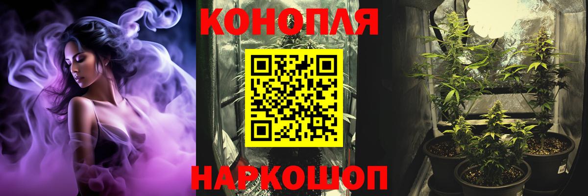 Шишки марихуана план  Конопля ГИДРОПОН  Вход с VPN  Новомосковск 